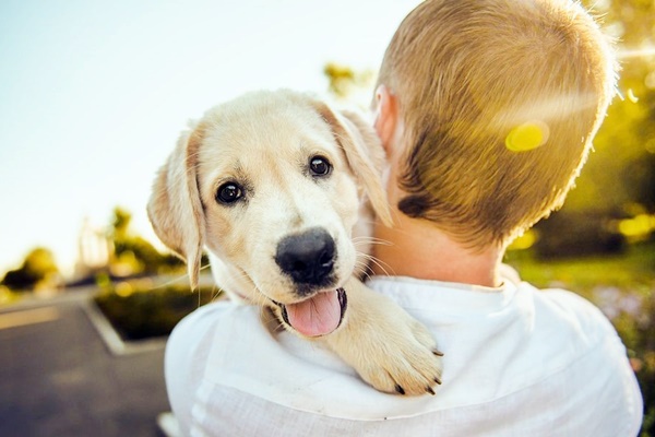 cane in spalla al bambino