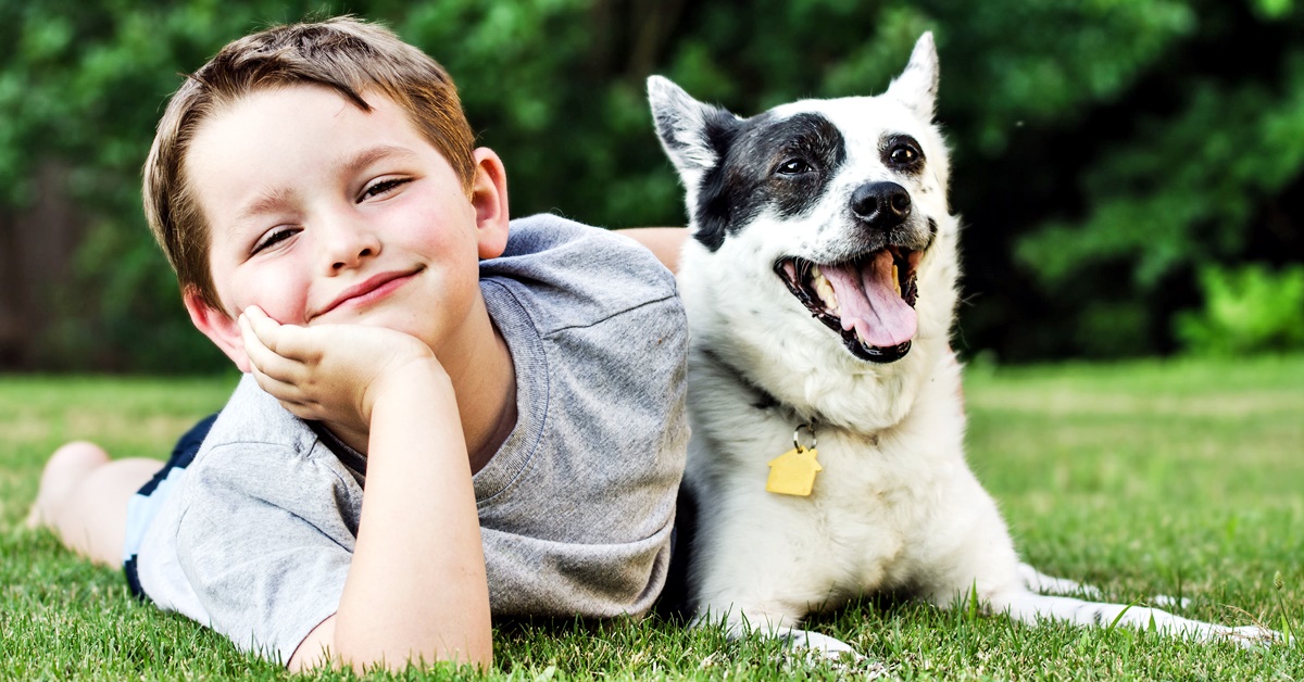 cane adatto ai bambini كيفية ازالة الخوف من الكلاب عند الأطفال في 5 خطوات 3 كيفية ازالة الخوف من الكلاب عند الأطفال في 5 خطوات