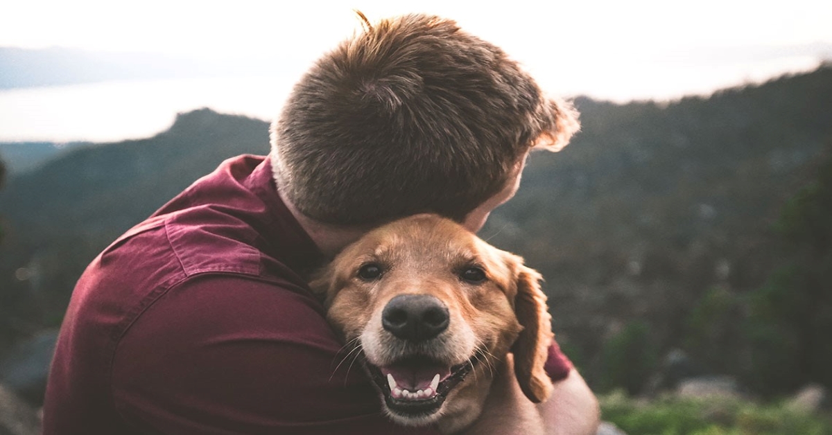 I cani capiscono il carattere degli umani? Sanno determinarlo?