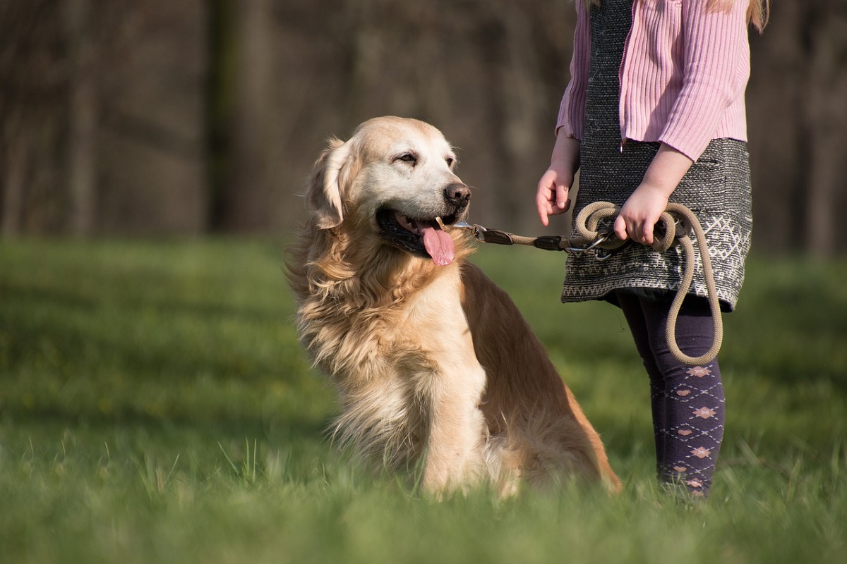 cane in campagna