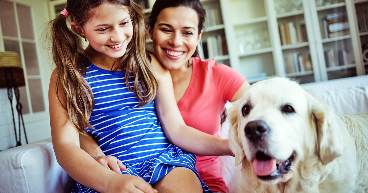 Il cane può prendere i pidocchi dai bambini?