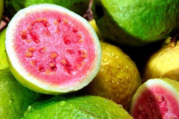 frutti di guava