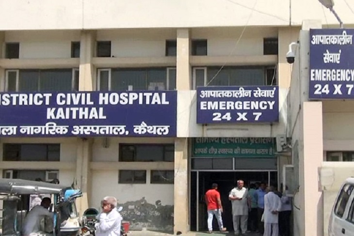 cani-randagi-ospedale