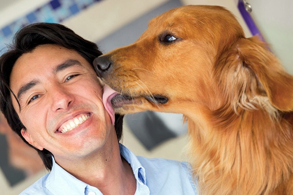 cane ama il suo padrone