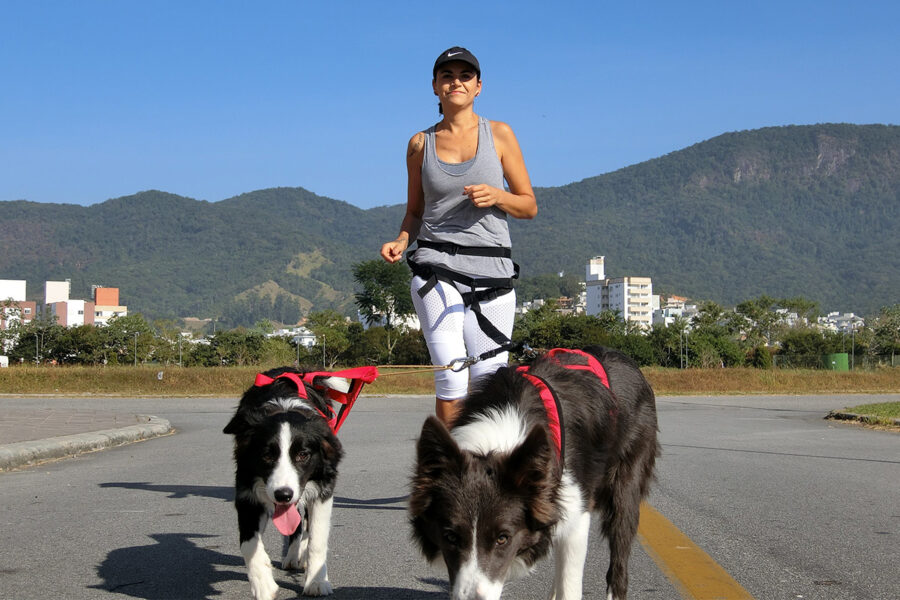 Canicross per correre con cane