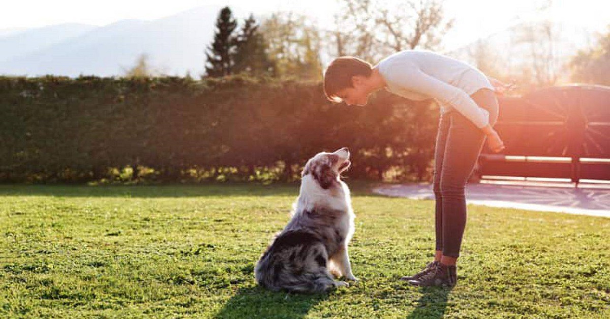 Come addestrare un cane sordo: tutti i passaggi step by step