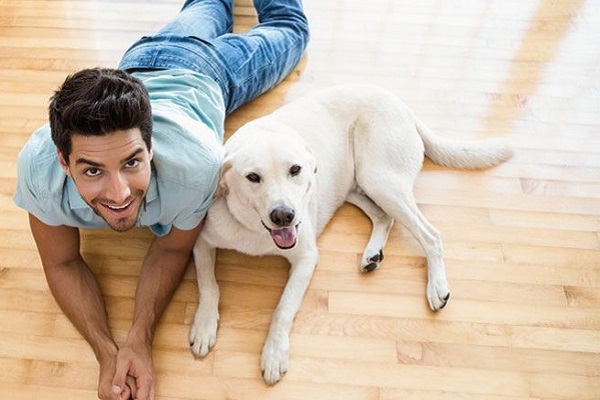 cane e ragazzo dall'alto