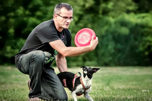 padrone lancia il frisbee al cane