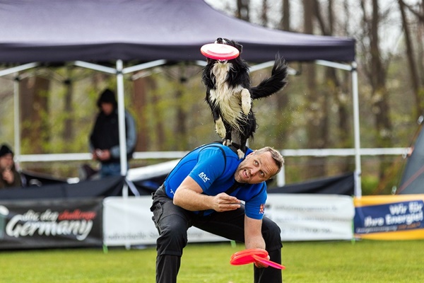 cane e padrone acrobazie con il frisbee