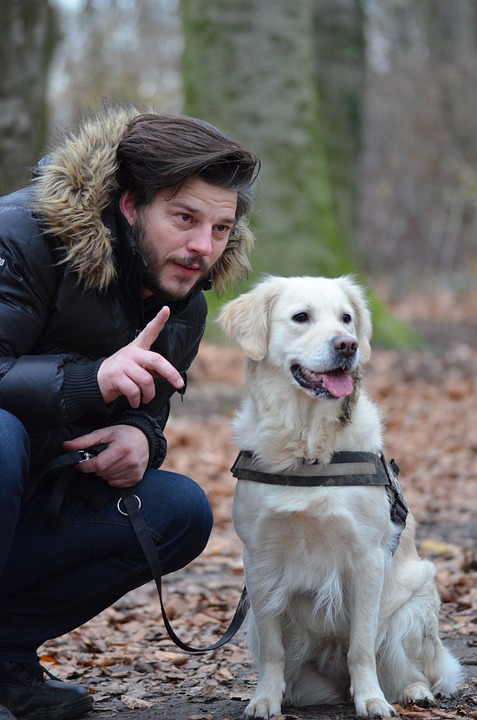 Come fermare un cucciolo che morde ossessivamente