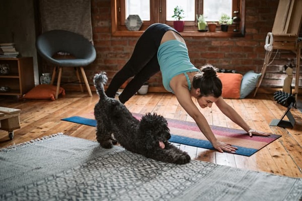 donna fa yoga con cane