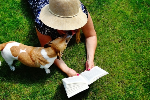 cane felice sul prato