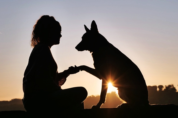 ragazza e cane che si stringono la zampa