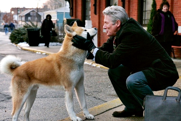 richard gere nel film hachiko