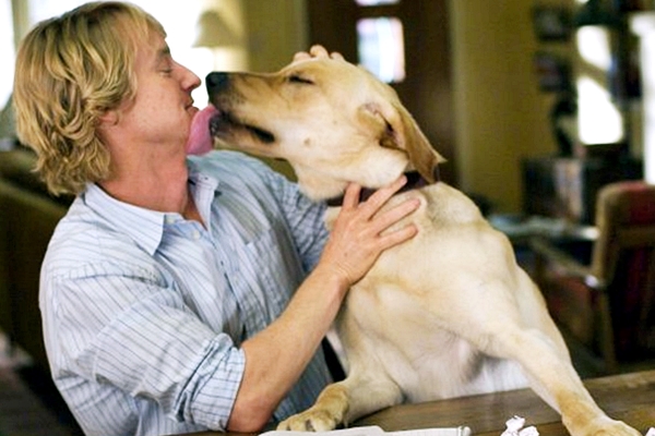 ragazzo biondo con cane