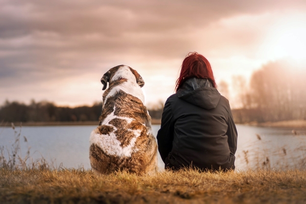 ragazza e cane guardano il tramonto