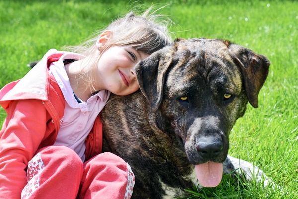 Frasi Sui Cani E Bambini Una Piccola Raccolta