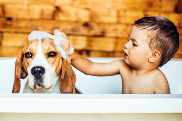 bimbo fa il bagno al cane