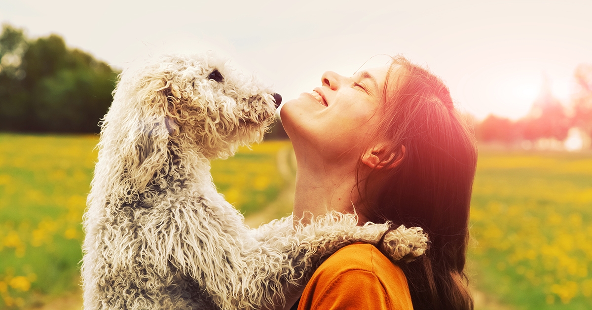 Frasi sui cani: le più belle da dedicare a Fido