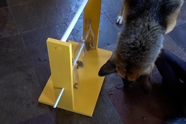 cane e dispenser alimentare