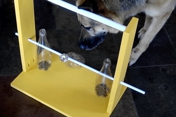 dispenser per cane