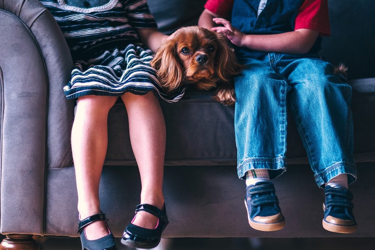 bambini sul divano con il cane