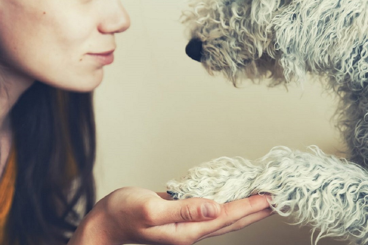 connessione tra cane e donna