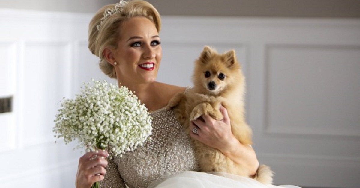I cani sono i protagonisti scelti da una sposa per il suo matrimonio