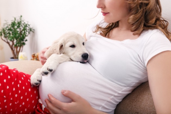 donna incinta e cane