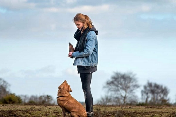 insegnare al cane sordo a venire