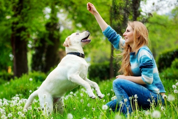 ragazza gioca col suo cane