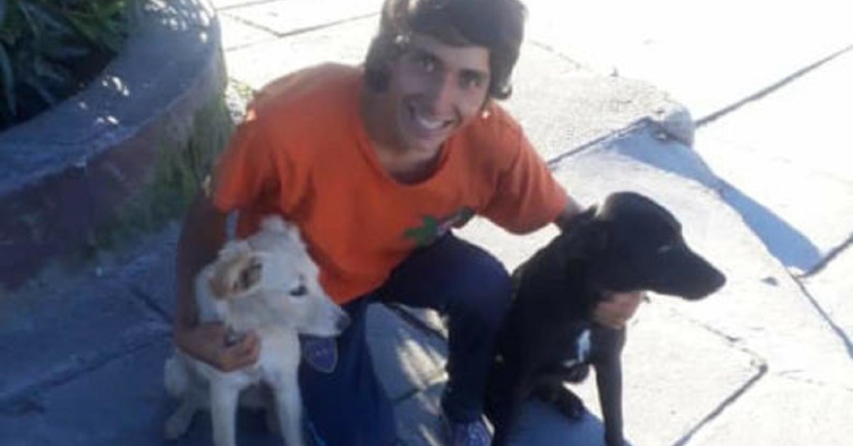 L’uomo è costretto a tornare nel suo paese a piedi per salvare due cani