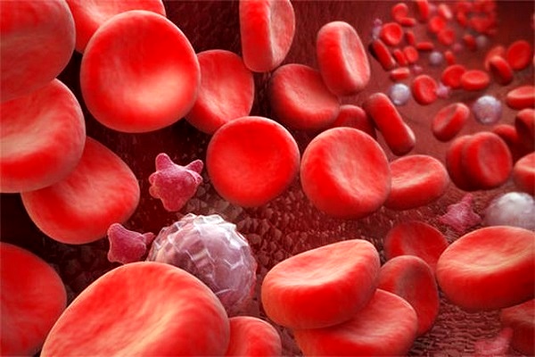 globuli rossi nel sangue