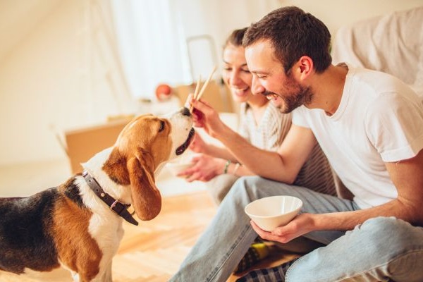 coppia dà da mangiare a cane