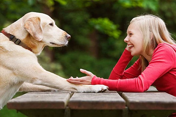 ragazza e cane uno di fronte all'altro