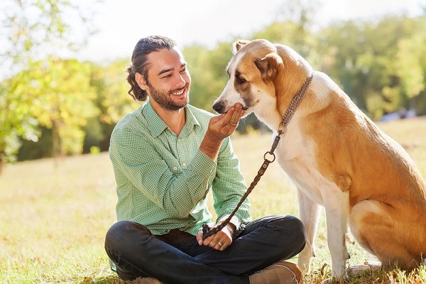 ragazzo con cane