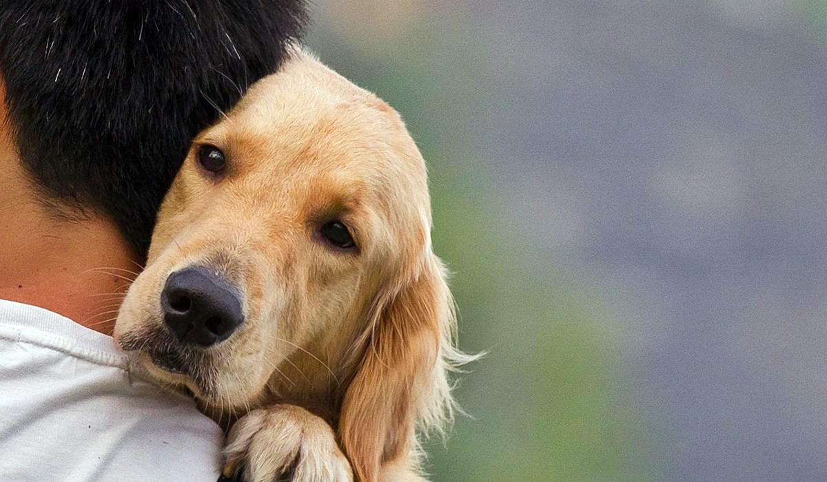 cane abbraccia il suo padrone