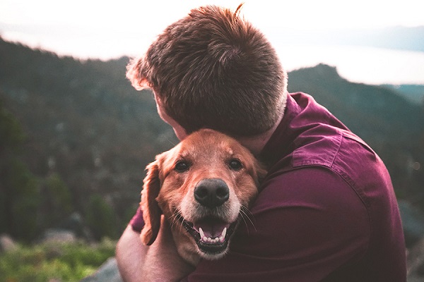 abbraccio tra cane e ragazzo