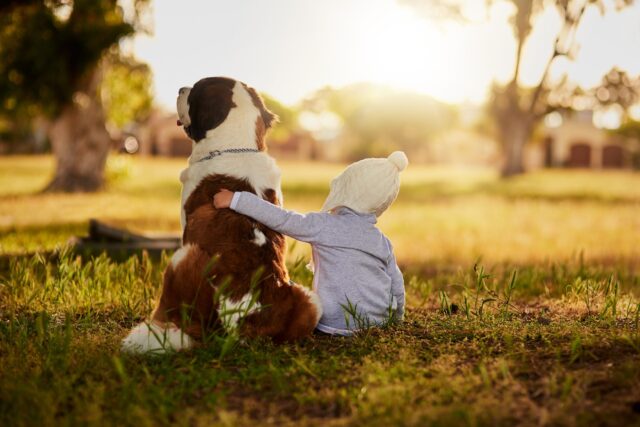 Come riconoscere un cane adatto ai bambini