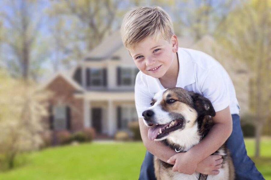 rapporto tra cane e bambino