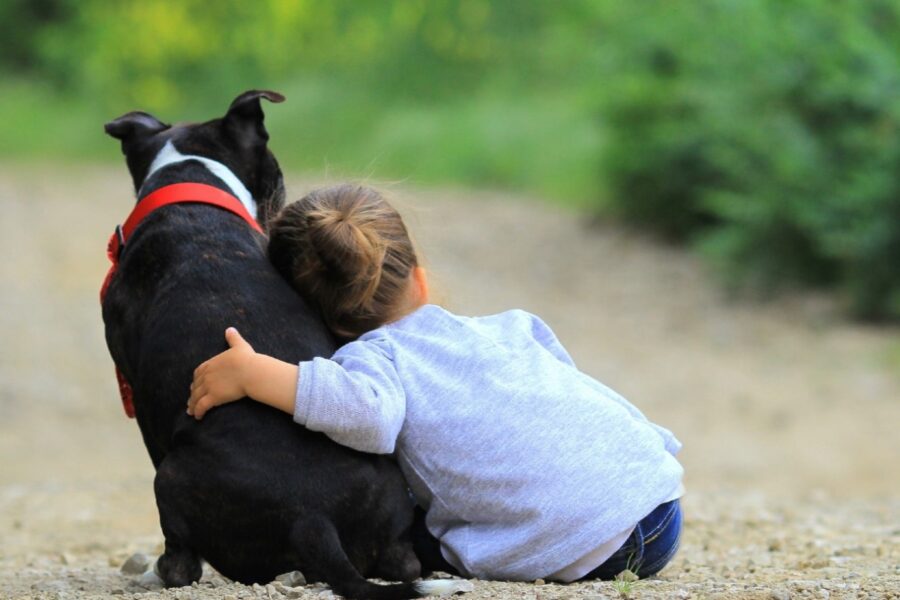 cane e bimba di spalle