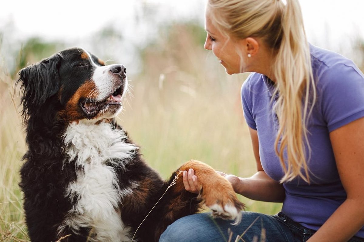 ragazza bionda che tiene la zampa a un cane