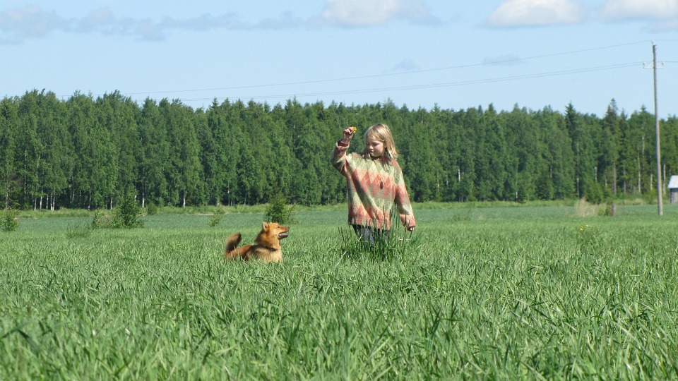 Al cane piacciono tutte le persone che incontra: che significa?