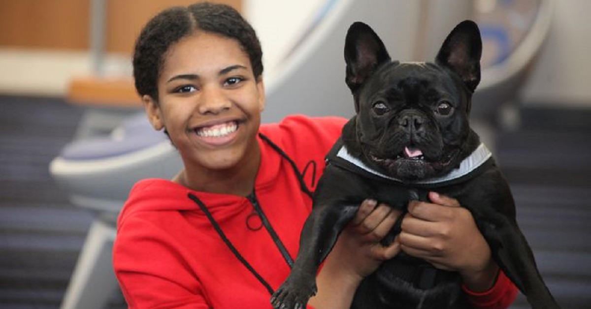 Un cane sta rallegrando un’intera scuola con la sua contagiosa simpatia