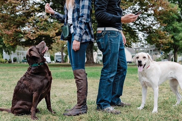 Uomini, donne e cani: le preferenze cambiano in base al genere?