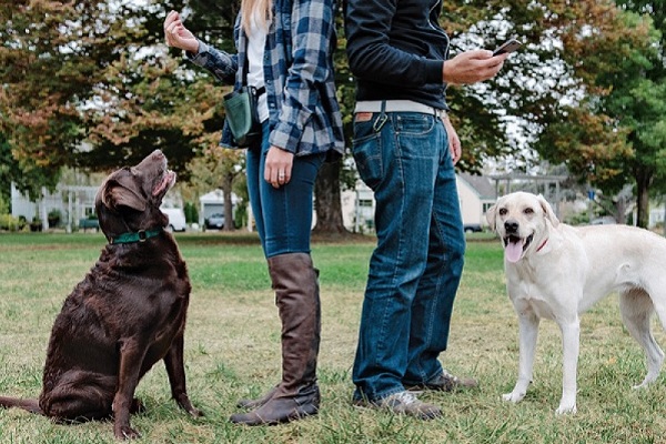 Uomini, donne e cani: le preferenze cambiano in base al genere?