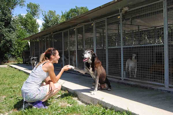 ragazza adotta cane al rifugio