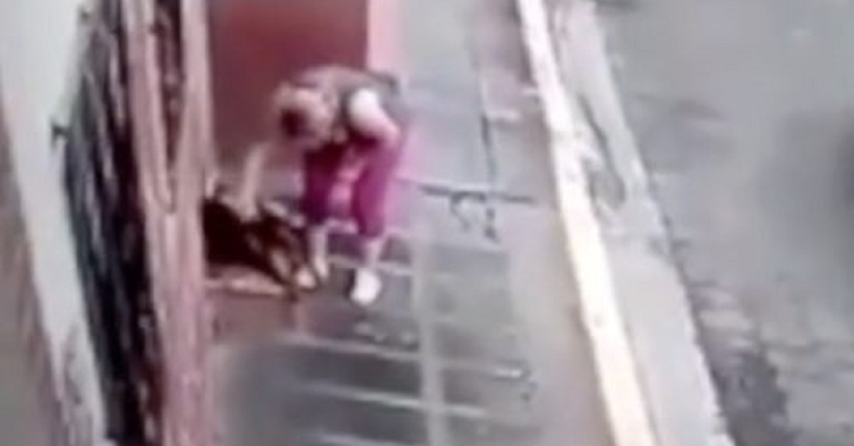 Vede un cane randagio in pericolo di vita, la donna ferma l’auto e lo aiuta