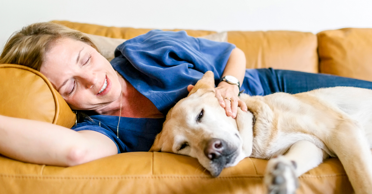 Cos’è l’encefalite secondaria per migrazione parassitaria nel cane