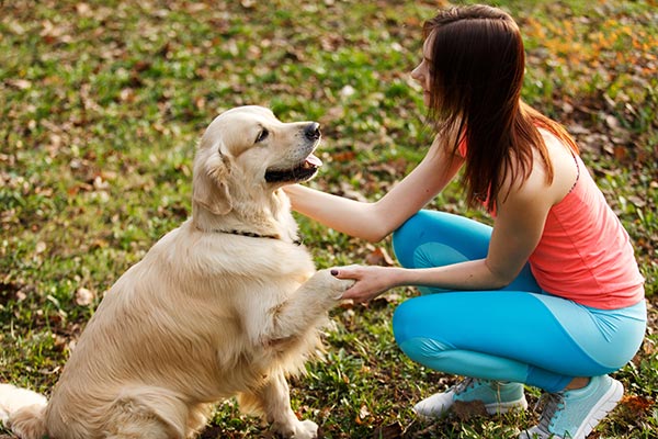 addestramento cane